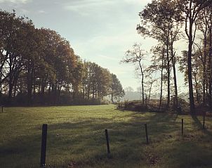 Rustige ochtend in de natuur bij Huisje in Barchem, vakantieverblijf in Gelderland.