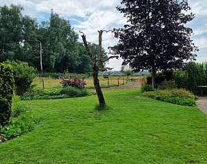 Ruime tuin van Huisje in Barchem, vakantiehuis in de Achterhoek, met groene grasvelden en bomen.
