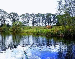 Rivierlandschap bij Huisje in Barchem, vakantiehuis in Barchem, met grazende koeien en serene wateren.