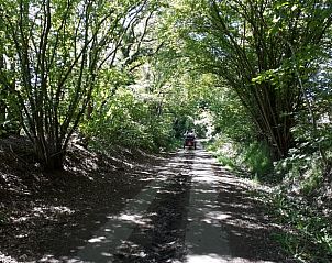 Bosrijke weg nabij Huisje in Barchem, vakantiehuis in de Achterhoek, ideaal voor wandelingen en fietstochten.