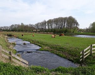Weide met grazende koeien bij Huisje in Barchem, vakantiehuis in Barchem, omgeven door rust en natuur.