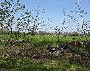 Kristalmuseum in de buurt van Huisje in Barchem, vakantiehuis in de Achterhoek, met schilderachtig waterlandschap.