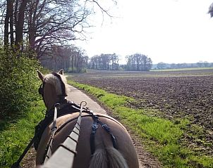 Rivierlandschap bij Huisje in Barchem, vakantiehuis in Gelderland, met stromend water en groene oevers.