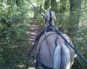 Verblijf 290212 - Vakantiewoning Achterhoek - Huisje in Barchem