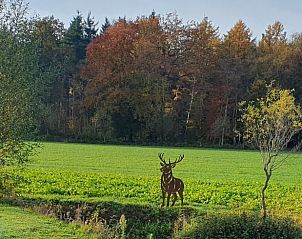 Houten bank op terras van Vakantiehuisje in Barchem, Achterhoek, Gelderland.