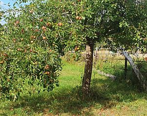 Moderne keuken in Vakantiehuisje in Barchem, Achterhoek, Gelderland.