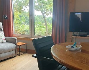 Uitzicht vanuit de woonkamer van Vakantiehuisje in Barchem, Achterhoek, Gelderland.