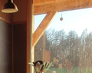 Uil gespot bij Vakantiehuisje in Barchem, Achterhoek, Gelderland.