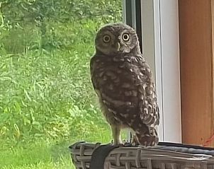 Nachtelijke natuur rondom Vakantiehuisje in Barchem, Achterhoek, Gelderland.