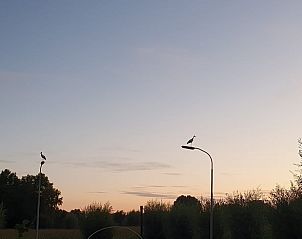 Prachtige zonsondergang in de tuin van Vakantiehuisje in Barchem, Achterhoek, Gelderland.