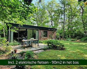 Buitenterras van Vakantiehuis in Barchem, Achterhoek, Gelderland, omgeven door groen voor ultieme ontspanning.