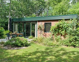 Groene omgeving rondom Vakantiehuis in Barchem, Achterhoek, Gelderland met terras en tuin.