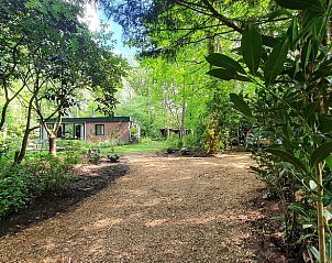 Bosrijke omgeving van Vakantiehuis in Barchem, Achterhoek, Gelderland met wandelpaden.
