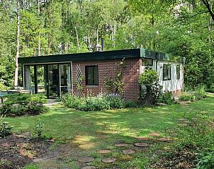 Vakantiehuis in Barchem, Achterhoek, Gelderland met ruime tuin en veel groen.