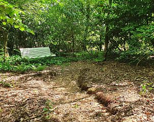 Schaduwrijke zithoek in de natuur rondom Vakantiehuis in Barchem, Achterhoek, Gelderland.