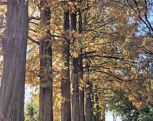 Verblijf 290220 - Vakantiewoning Achterhoek - Vakantiehuisje in Barchem