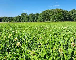 Uitzicht op groene velden rondom Huisje in Barchem, vakantieverblijf in Achterhoek.