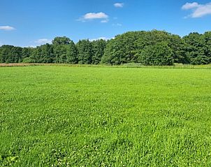 Natuurrijke omgeving van Huisje in Barchem, vakantiehuis in Gelderland met weelderige bossen.