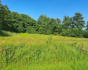 Schapen in de weide bij Huisje in Barchem, vakantieverblijf in Achterhoek met landelijke sfeer.