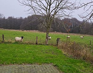 Rivierlandschap nabij Huisje in Barchem, vakantieaccommodatie in Achterhoek met serene natuur.