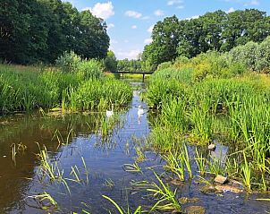 Bospad in de buurt van Huisje in Barchem, vakantiehuis in Gelderland voor wandelingen.