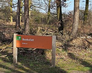 Toegangsweg naar Huisje in Barchem, vakantiehuis in Gelderland omgeven door hoge bomen.