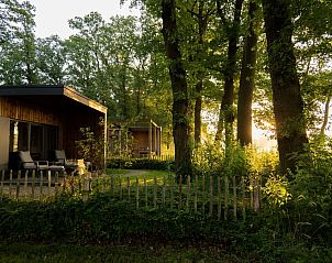 Vakantievilla Amalia 2 in Kotten, omgeven door bomen en natuur.