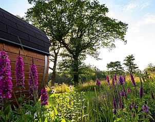 Unterkunft 290409 - Ferienhaus Achterhoek - Vakantievilla Amalia 4 Deluxe