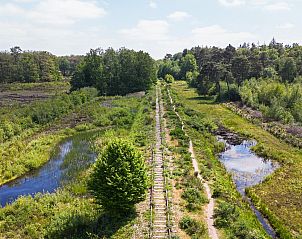 Guest house 290417 - Holiday property Achterhoek - Boslodge Royal met sauna | Hondenhek | 2 pers