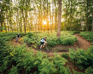 Guest house 290419 - Holiday property Achterhoek - Boslodge Royal | 2 pers