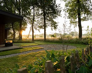 Enjoy the serene nature around Holiday Villa Boslodge 2 with sauna in Kotten, Achterhoek, Gelderland at sunset.