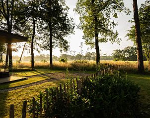 Enjoy the serene nature surrounding Holiday Villa Boslodge 2 with sauna in Kotten, Achterhoek, Gelderland with beautiful forest views.