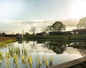 Vijver bij Parklodge 4, Kotten, Achterhoek. Prachtig uitzicht op water en natuur.