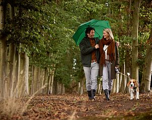 Unterkunft 290438 - Ferienhaus Achterhoek - Parklodge 4 met hondenhek, sauna en hottub