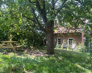 Unterkunft 290445 - Ferienhaus Achterhoek - Huisje in Kotten