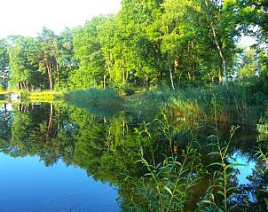 Guest house 290503 - Holiday property Achterhoek - Huisje in Gelselaar