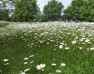Guest house 290503 - Holiday property Achterhoek - Huisje in Gelselaar