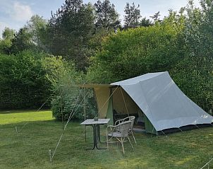Unterkunft 290605 - Ferienhaus Achterhoek - Vakantiehuis Camping Ont Moeten - Tijdloos
