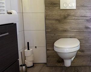 Moderne badkamer in Vakantiehuis in Rekken met toilet en houten details in de Achterhoek, Gelderland.