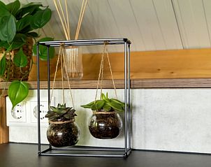 Decoratieve planten in Vakantiehuisje in Rekken, een sfeervol verblijf in Achterhoek, Gelderland.