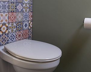 Stijlvol toilet in Vakantiehuisje in Rekken met kleurrijke tegelwand in Achterhoek, Gelderland.