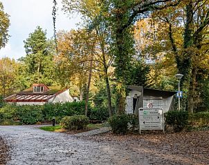 Guest house 290706 - Holiday property Achterhoek - Huisje in Halle