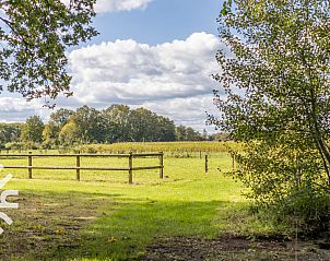 Guest house 290724 - Holiday property Achterhoek - DG302
