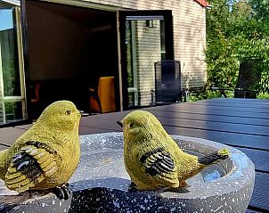 Guest house 290727 - Holiday property Achterhoek - DG1041