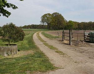 Landelijke toegangsweg naar Vakantiehuis in Heelweg, omgeven door het prachtige landschap van de Achterhoek, Gelderland.