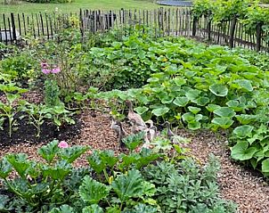 Weelderige moestuin in Vakantiehuis in Heelweg, omringd door natuur in Achterhoek, Gelderland.