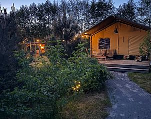 Glamping lodge bij Vakantiehuis in Heelweg, Achterhoek, Gelderland, omgeven door groen en voorzien van een uitnodigend terras.