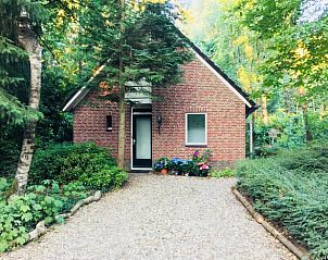 Vakantiehuisje in Zelhem, een charmant vakantiehuis in de groene omgeving van de Achterhoek, Gelderland, omringd door natuur.