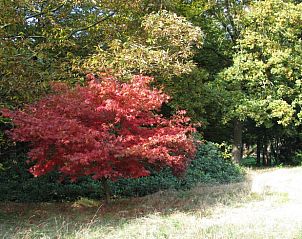 Herfstkleuren in de omgeving van Huisje in Zelhem, vakantiehuis in Achterhoek, Gelderland.