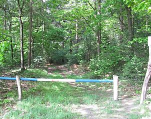 Bosrijke wandelpaden bij Huisje in Zelhem, vakantiehuis in de Achterhoek, Gelderland.